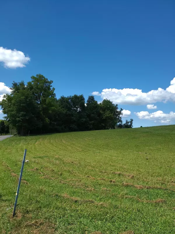 .74 Ac Afton RD, Afton, TN 37616