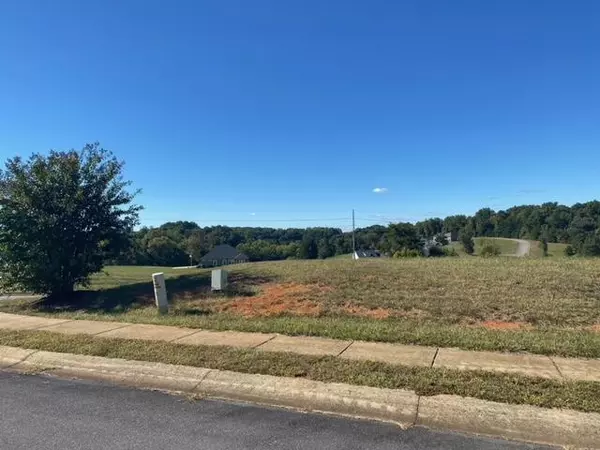 Greeneville, TN 37743,Lot 92 River View DR