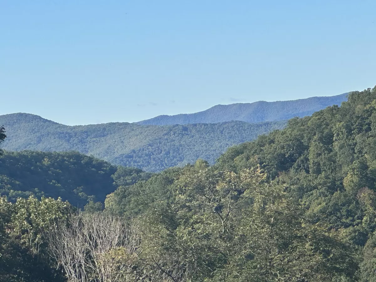 Roan Mountain, TN 37687,Lot 36 Windcrest TRL