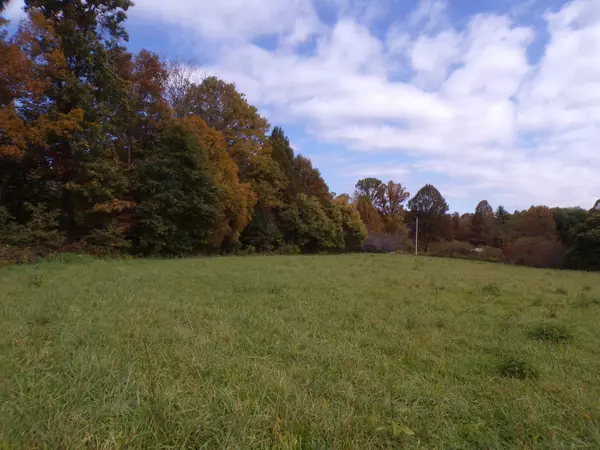 Shady Valley, TN 37688,658 Hopper Road Tract 1