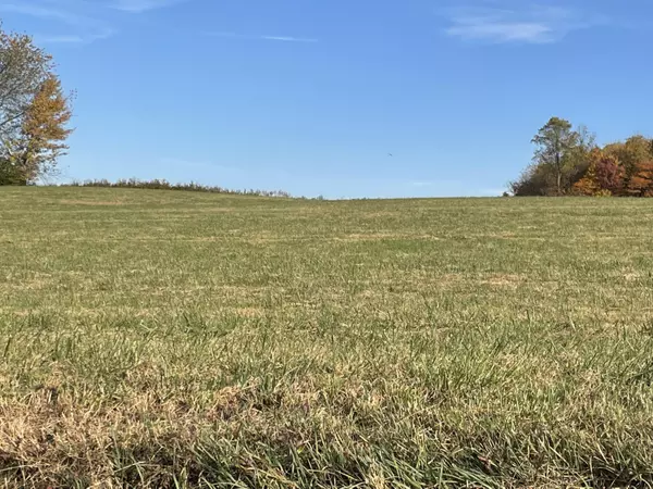 Limestone, TN 37681,Tbd Milburnton RD #Lot #1