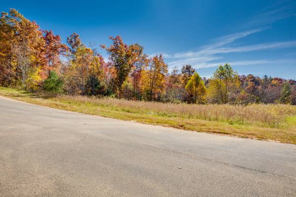 Unicoi, TN 37692,Lot 19 Homestead DR