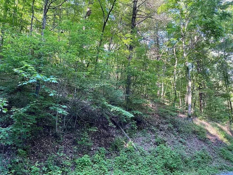 Lot 11 Sunset RD, Pigeon Forge, TN 37863