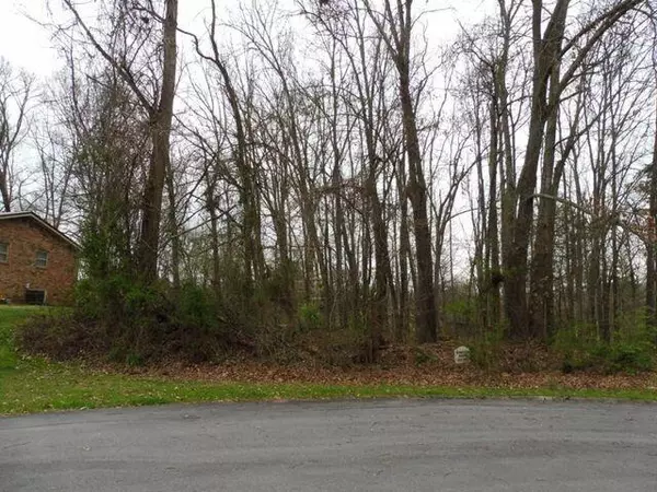 Lot 9 Briarwood DR, Gray, TN 37615