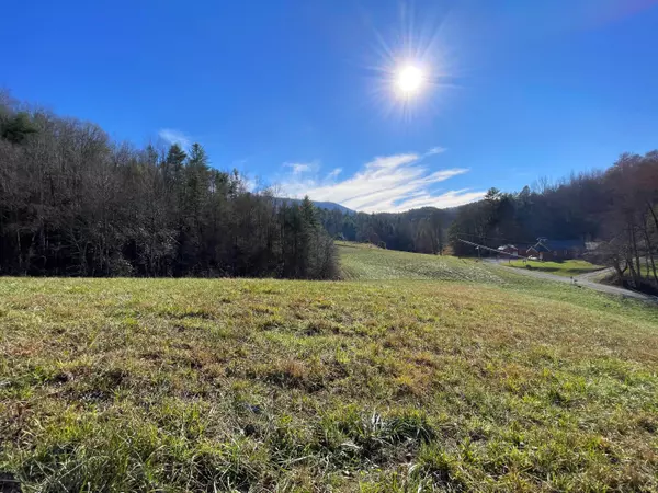 Del Rio, TN 37727,000 Blue Mill RD