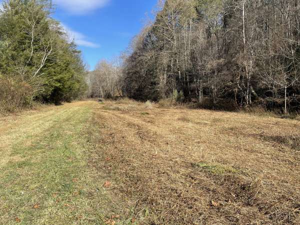 TN 37640,00 Roan Creek Road