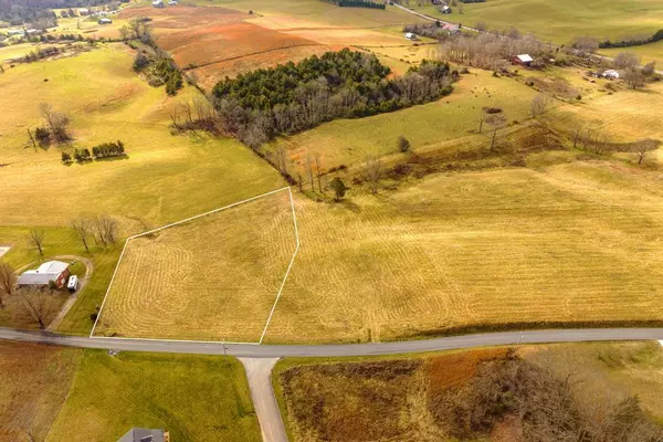 Afton, TN 37616,Lot 21 Mount Zion RD