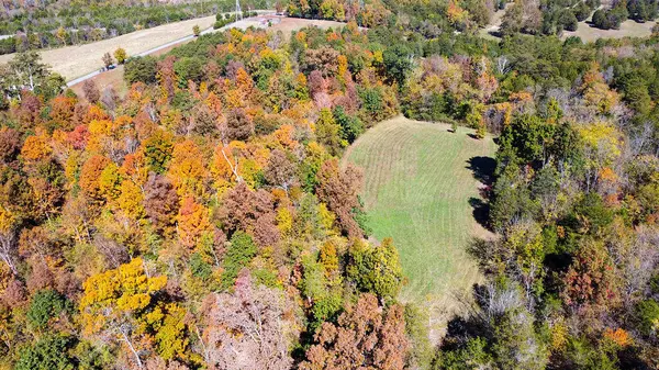 Bulls Gap, TN 37711,45 Acres E Wells LN