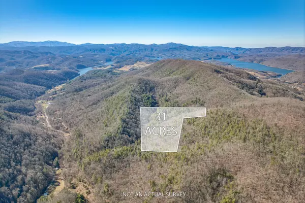 Butler, TN 37640,Tbd Copperhead Hollow RD