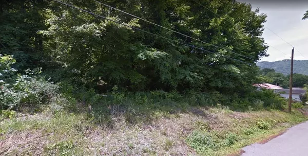 Tbd Lots Tyler ST #3, Erwin, TN 37650