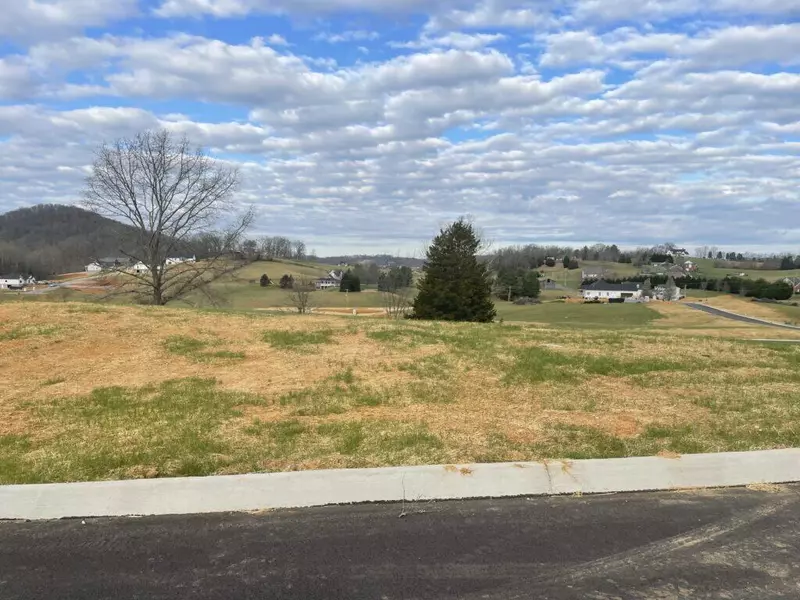 Lot 32 Cattleman's TRL, Jonesborough, TN 37659