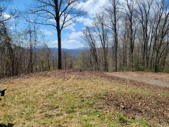 Lot 16 Mays Ridge/Off Heaton Branch RD, Butler, TN 37640