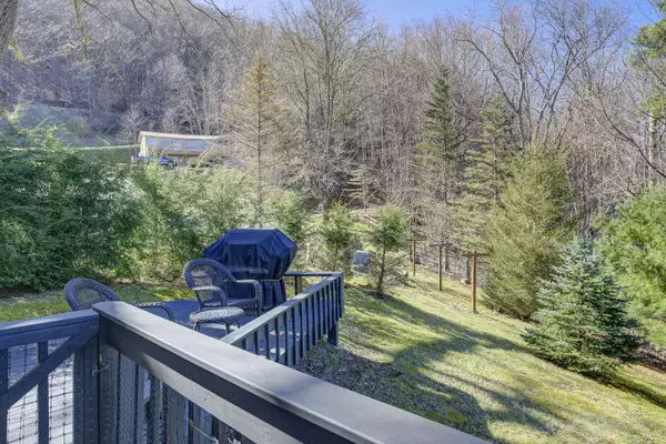 Roan Mountain, TN 37687,190 Roanwood RD