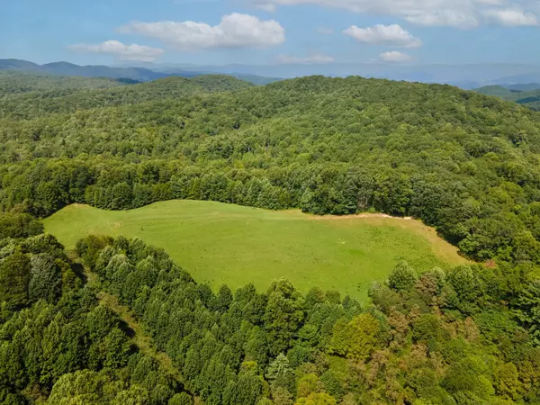 Roan Mountain, TN 37687,Tbd Walnut Mountain RD