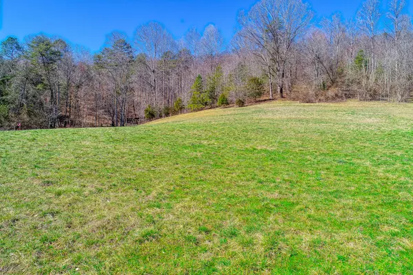 Rogersville, TN 37857,Lot 2 Tennessee Highway  70  S