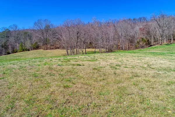 Rogersville, TN 37857,Lot 4 Tennessee Highway 70 S