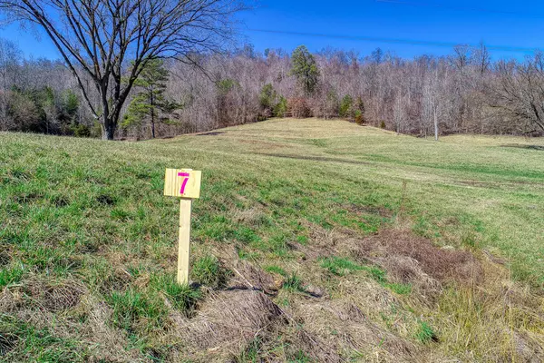 Lot 7 Tennessee Highway 70 S, Rogersville, TN 37857