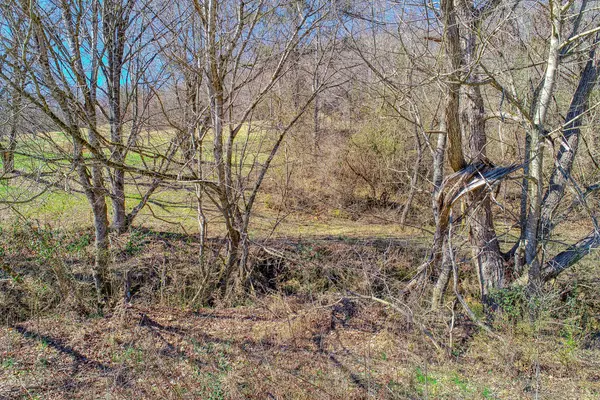 Rogersville, TN 37857,Lot 9 Tennessee Highway 70 S