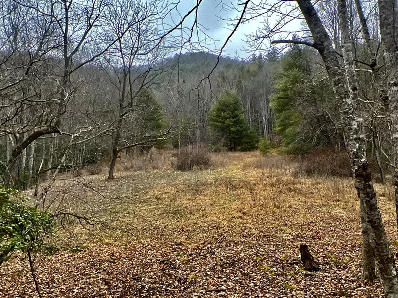 Tbd Fire Tower RD, Mountain City, TN 37683