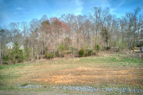 Church Hill, TN 37642,Tbd Lot 40 Central AVE