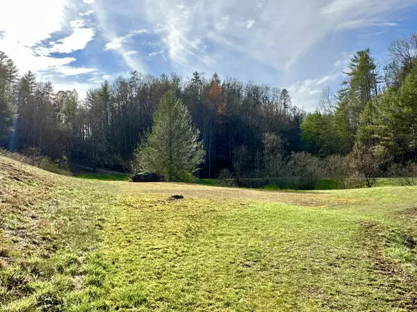 Lot No. 7 Raven Branch RD, Del Rio, TN 37727