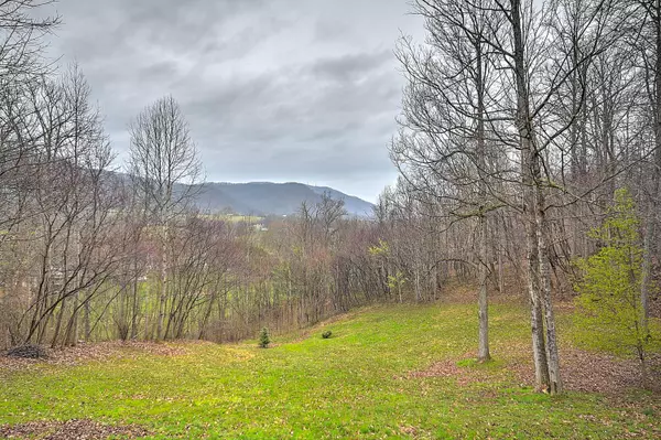 Unicoi, TN 37692,114 Fairway PT