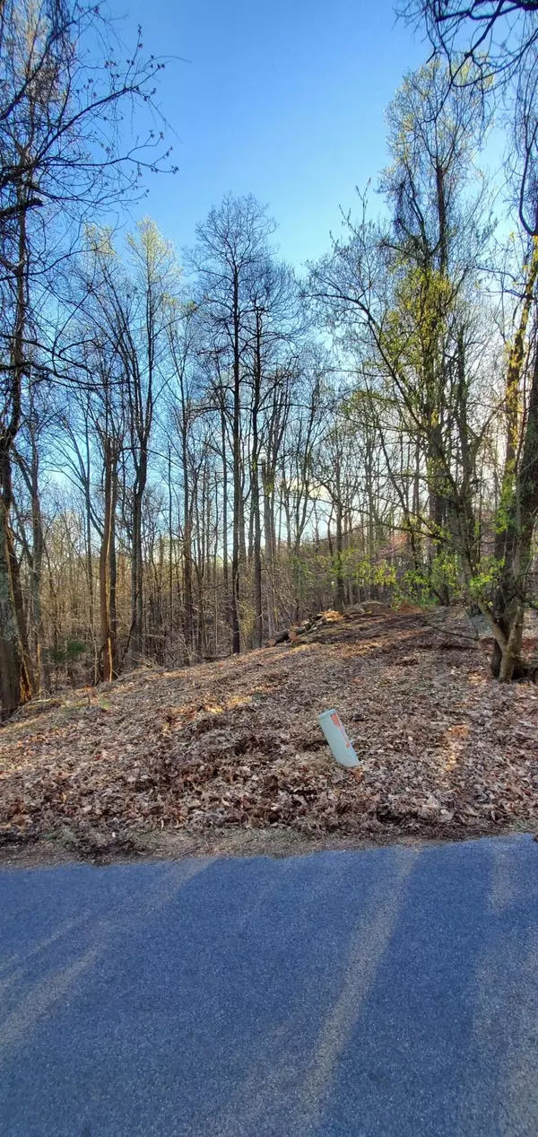 Kingsport, TN 37664,0 Foxfire LN