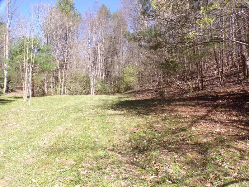 194 Jack Mckinney RD, Hampton, TN 37658