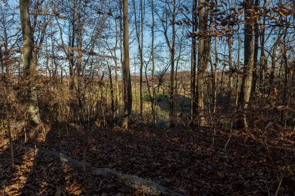 Kingsport, TN 37660,Lot 30 Ridgemont CIR