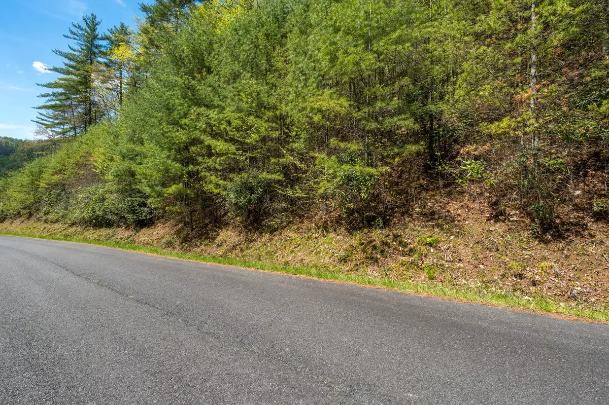 Mountain City, TN 37683,Lot 9 Callalantee DR