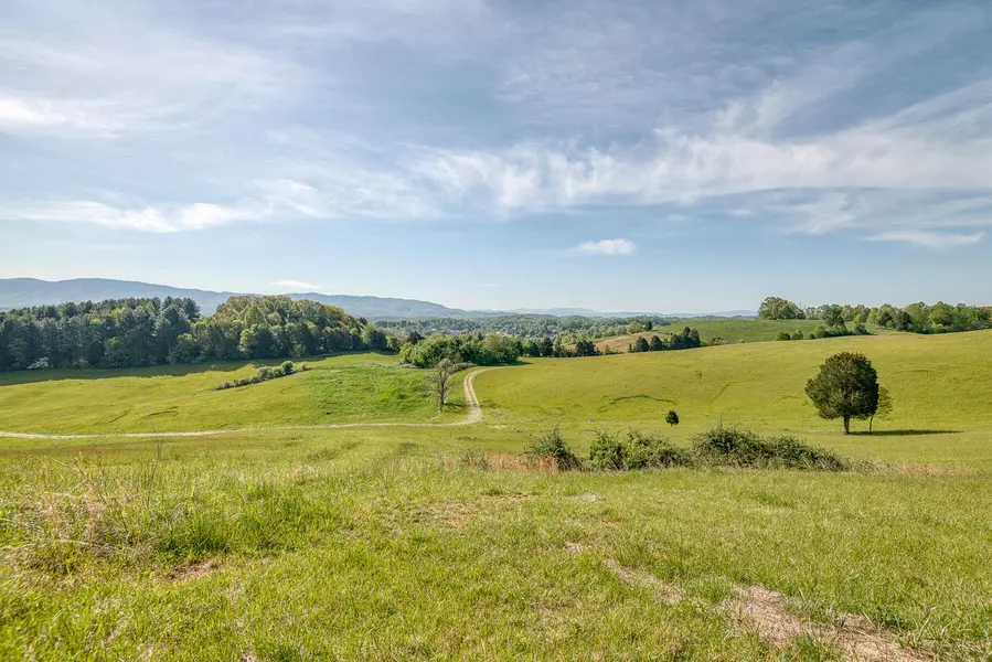 Tbd Hamilton Hill RD, Bluff City, TN 37618