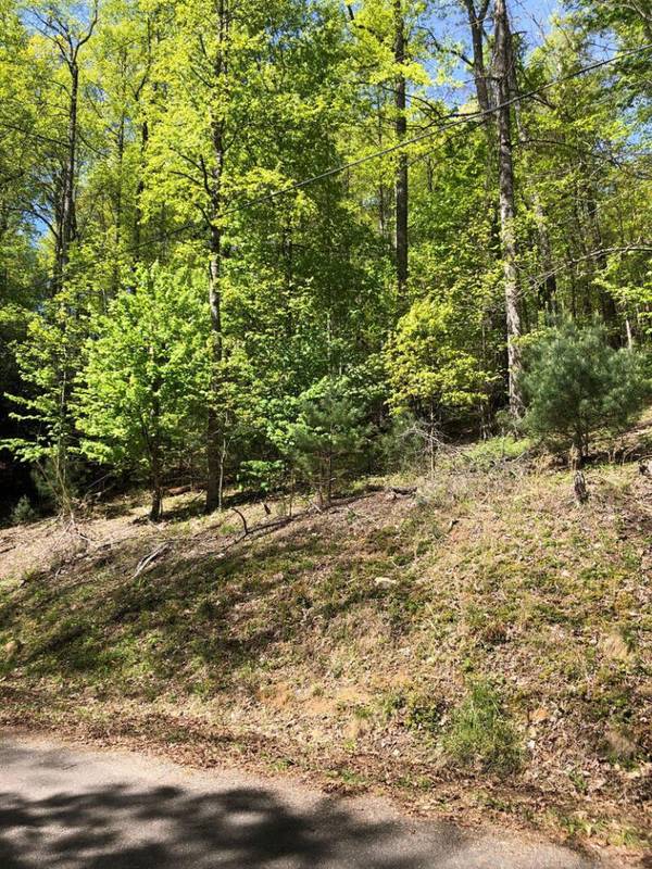 Tbd Preserve WAY,  Mountain City,  TN 37683