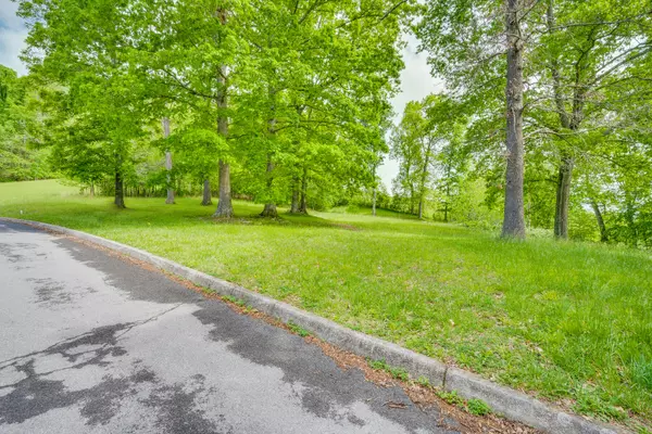 Bluff City, TN 37618,Lot 39 Glen Haven DR