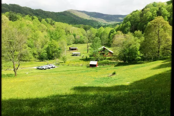 Roan Mountain, TN 37687,286 Heaton Ridge RD