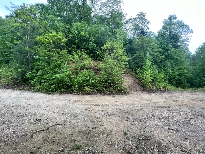 Lot 48 Locust LN, Butler, TN 37640