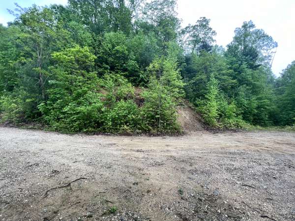 Lot 48 Locust LN,  Butler,  TN 37640