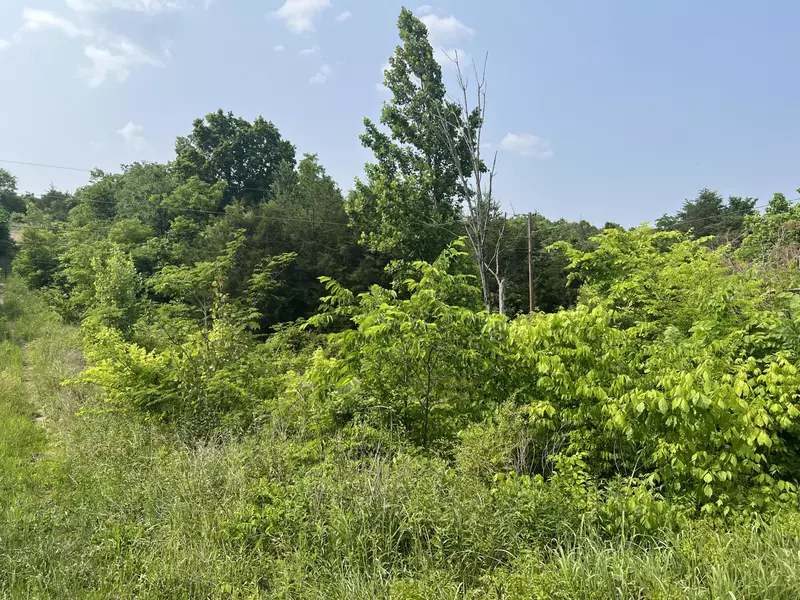 0 Little Warrensburg RD, Midway, TN 37809
