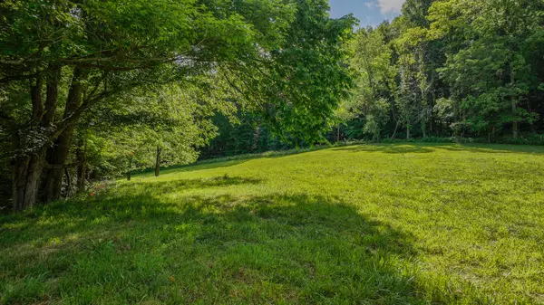 Abingdon, VA 24210,000 Rust Hollow RD