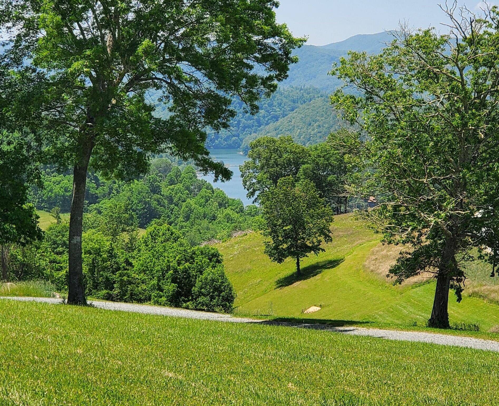 Butler, TN 37640,44 Starry Night CT
