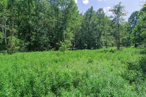 Tbd Spruce Pine RD, Rogersville, TN 37857