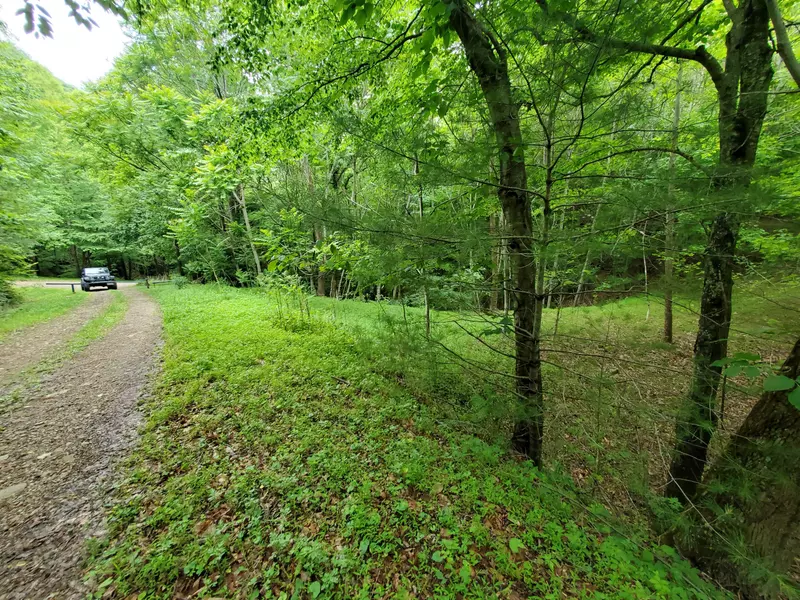 Lot 4 Bailey Hollow RD, Erwin, TN 37650