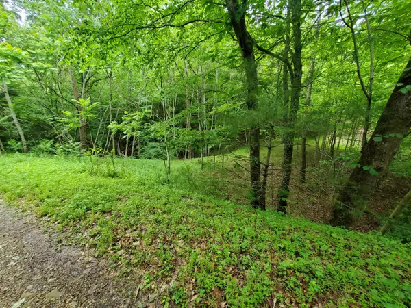 Erwin, TN 37650,Lot 4 Bailey Hollow RD