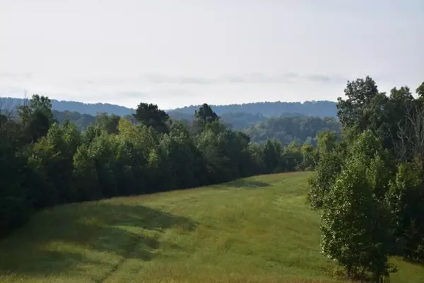 Rogersville, TN 37857,Lot 16 Plantation DR