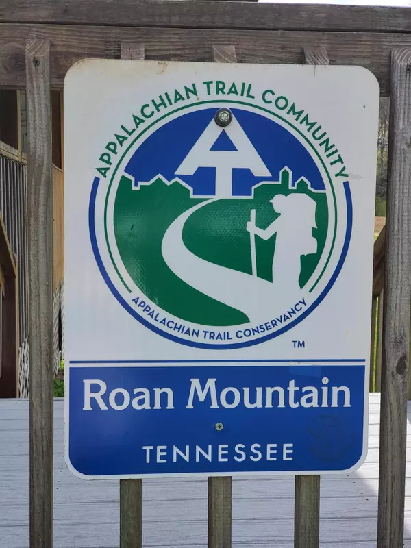 Roan Mountain, TN 37687,155 Tower RD