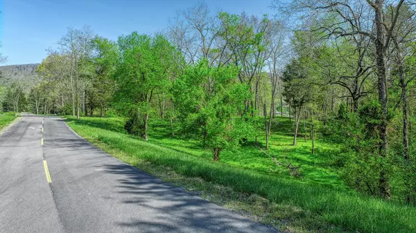 Whitesburg, TN 37891,Lot 28r Walnut Bend DR