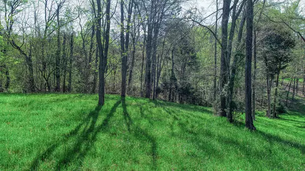 Whitesburg, TN 37891,Lot 28r Walnut Bend DR