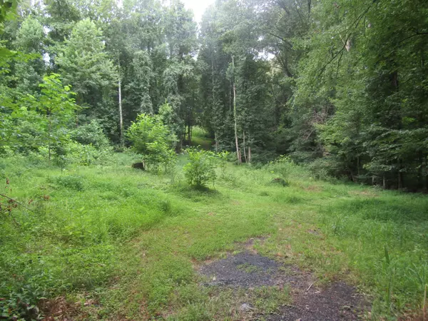 Tbd Baywood Dr S Of DR, Piney Flats, TN 37686