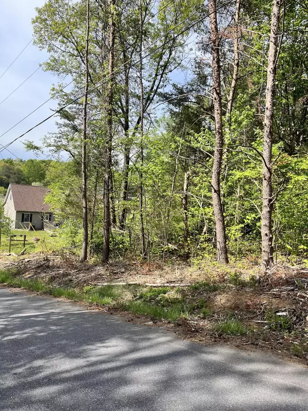 Fall Branch, TN 37656,Tbd Painter Ave