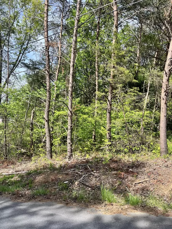 Fall Branch, TN 37656,Tbd Painter Ave