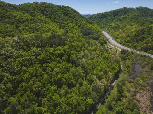 Bean Station, TN 37708,23.65 Ac Briar Hollow RD